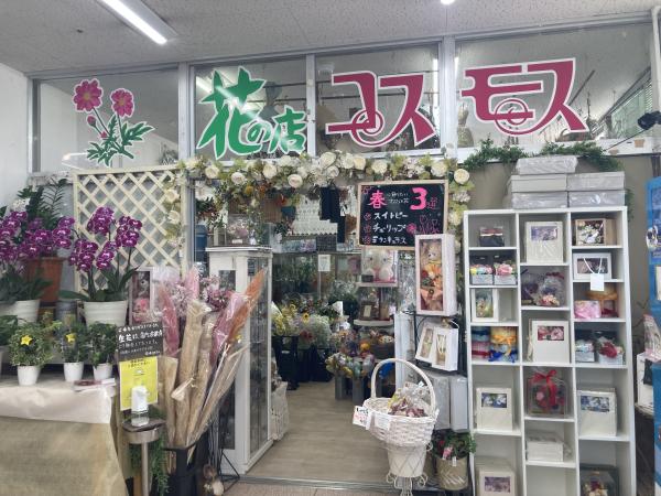 花の店コスモス