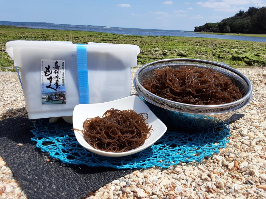 沖縄県産塩蔵もずく5kg