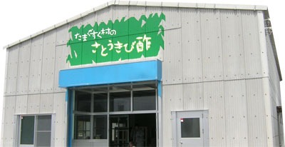 たまぐすく結モール店