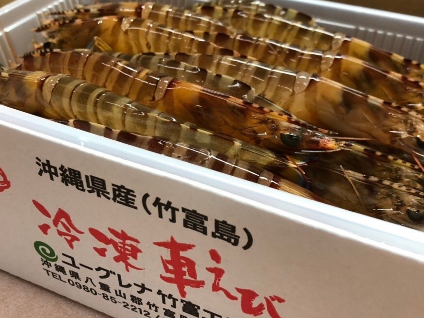 竹富島産 冷凍車えび(500g)送料込み
