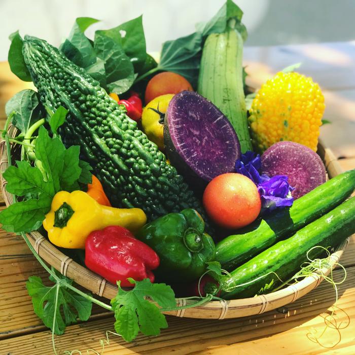 旬野菜セット(4-5品)