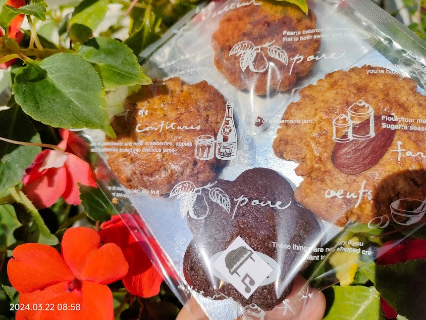 シークワーサー、きなこ、メープルシュガーシナモン、くるみの4種のクッキー