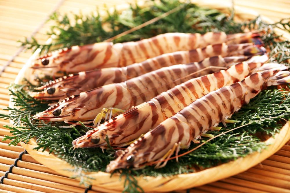 竹富島産活き車えび500g