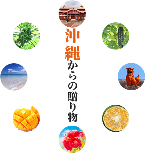すばる商事 結モール店